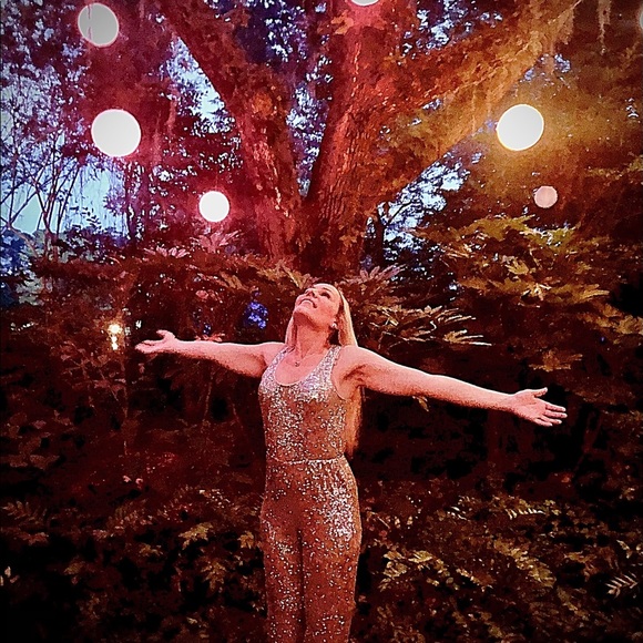 🎉HOST PICK🎉 Express Silver/Grey Sequin Scoop Neck Jumpsuit - Picture 6 of 11